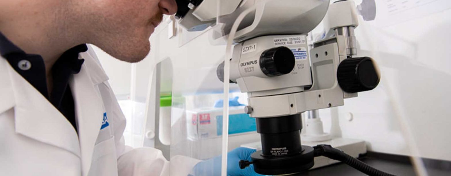 Lab-Based Asbestos Test for Clear Identification