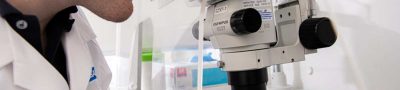 Lab-Based Asbestos Test for Clear Identification