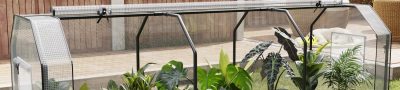 Greenhouses That Extend Your Growing Season